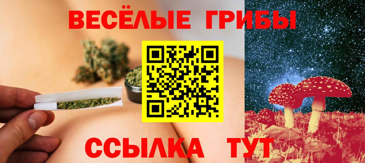 Солнечногорск  Псилоцибиновые грибы Psilocybe  купить наркотик  Вход с VPN 