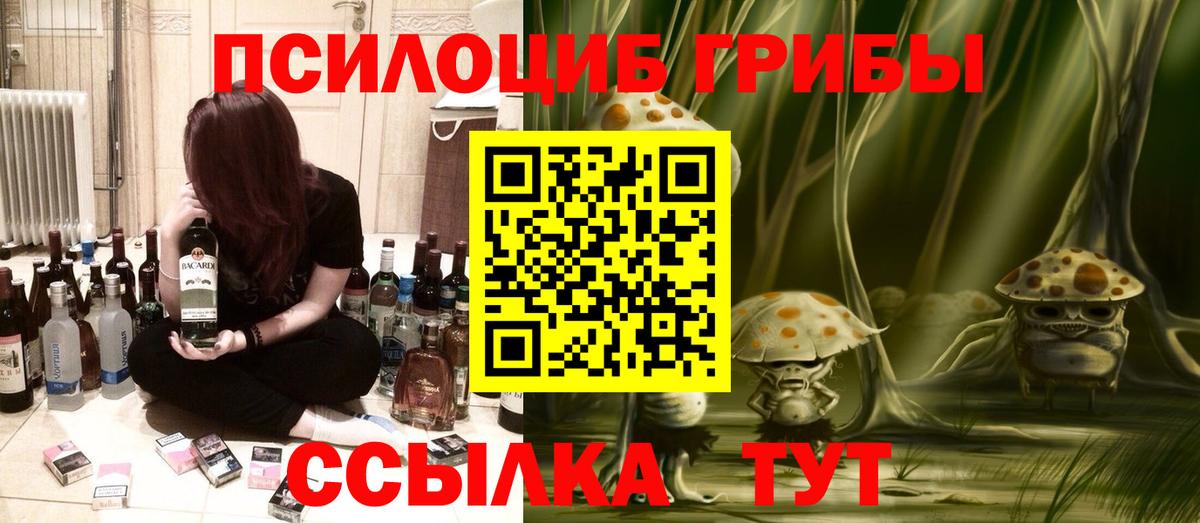 Псилоцибиновые грибы Cubensis Солнечногорск